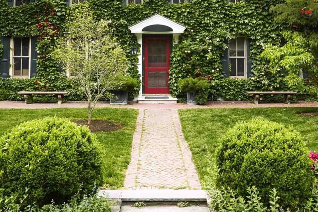 4 Exterior Pros Advice: How to Make Your House Stand Out? | The Enterprise World