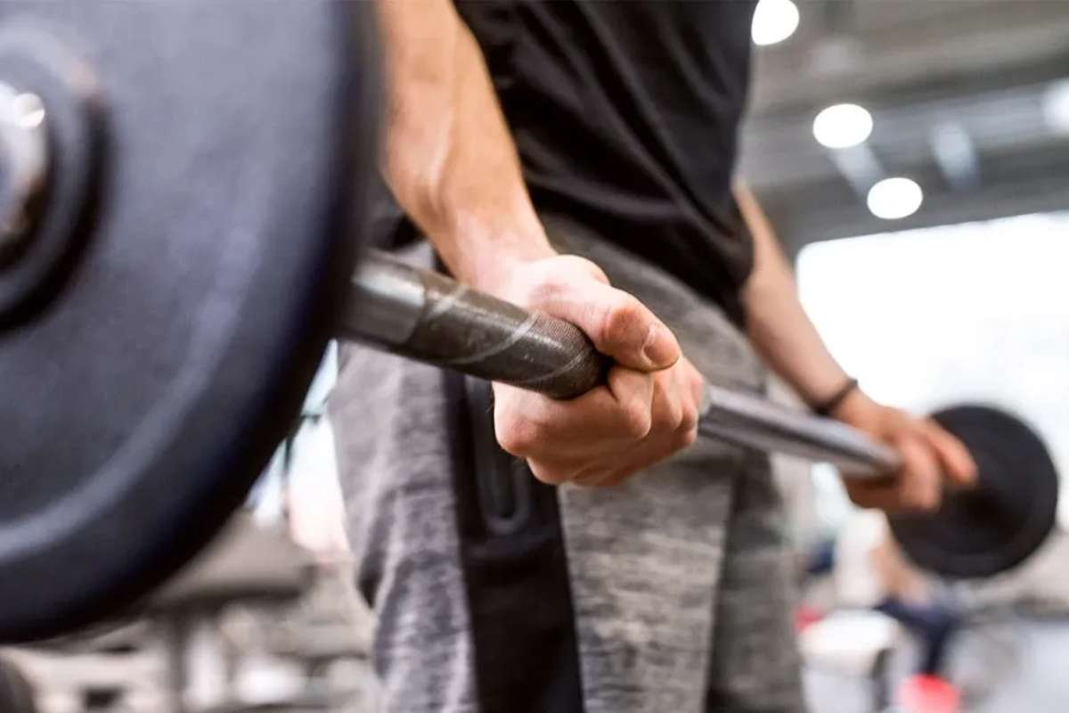 Preacher Curls and Bicep Curls- Key Differences | Advantages | The Enterprise World