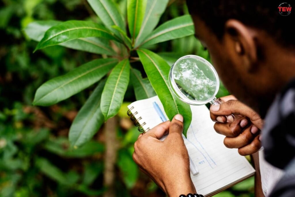 Online Plant Identification with The Tech Revolution | The Enterprise World