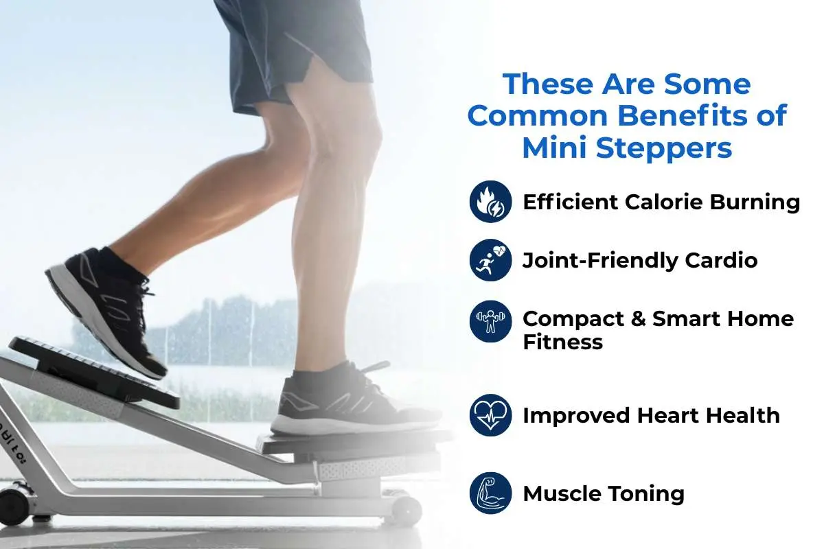 Mini Steppers: Can They Replace Gym Workouts in 2026? | The Enterprise World