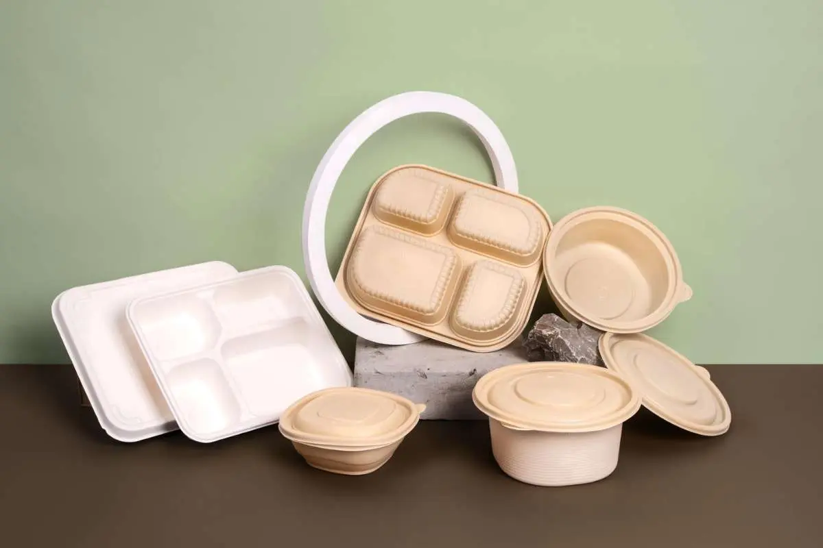 Innovations in Food Packaging: Eco-Friendly Trends 2026 | The Enterprise World