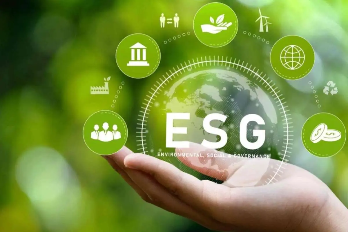 Business Strategies in Healthcare for Sustainable Growth | The Enterprise World
