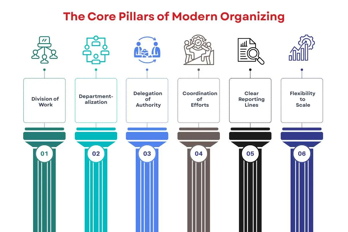 Organizing in Management: Why Structure Still Shapes Business Success | The Enterprise World