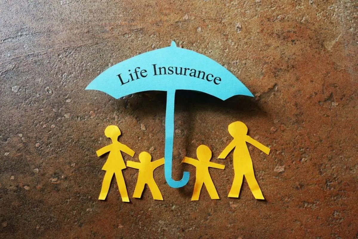 Role of Insurance in Personal Finance: A Complete Guide | The Enterprise World