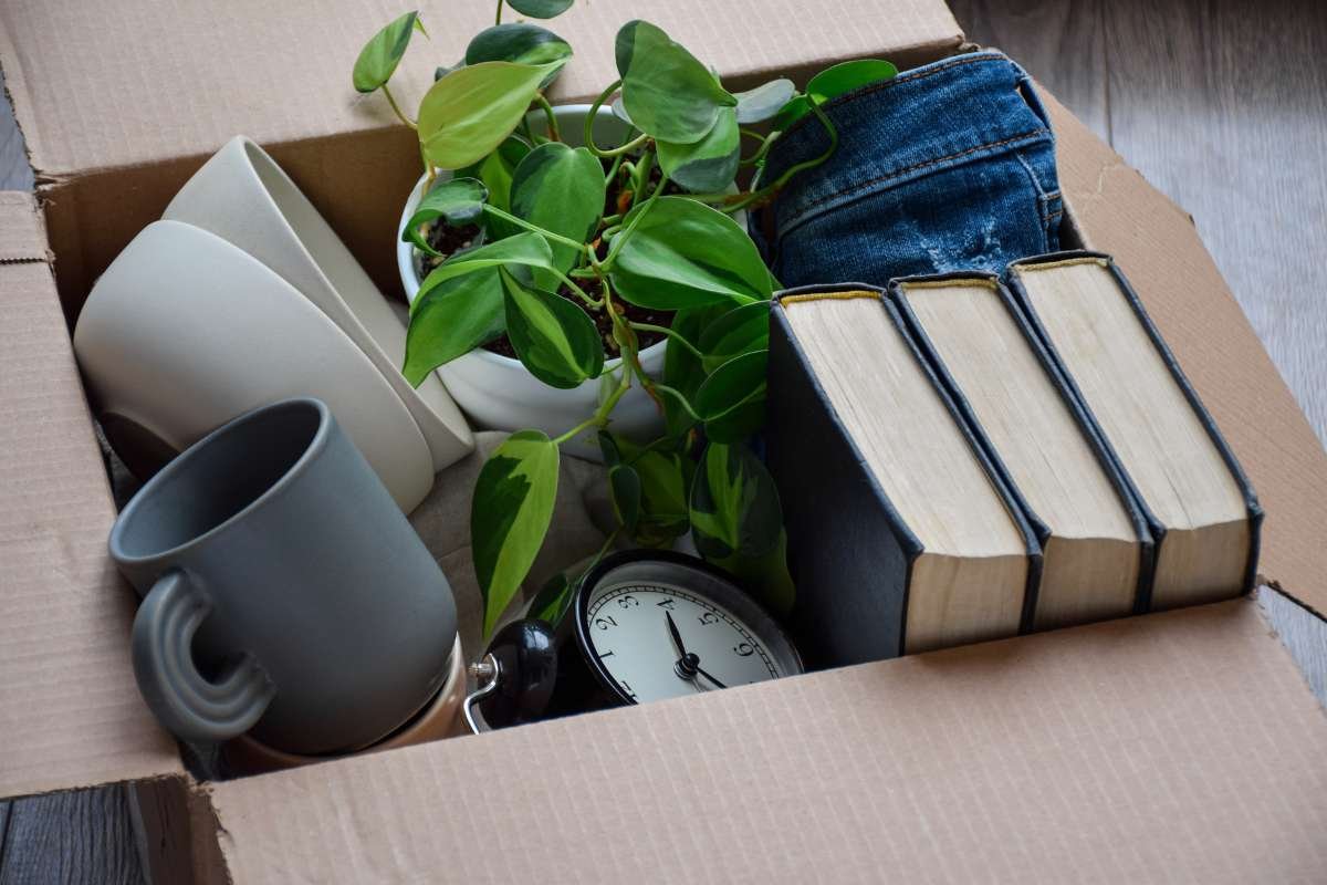 Smart Moving Tips: Essential Reminders for a Smooth Move | The Enterprise World
