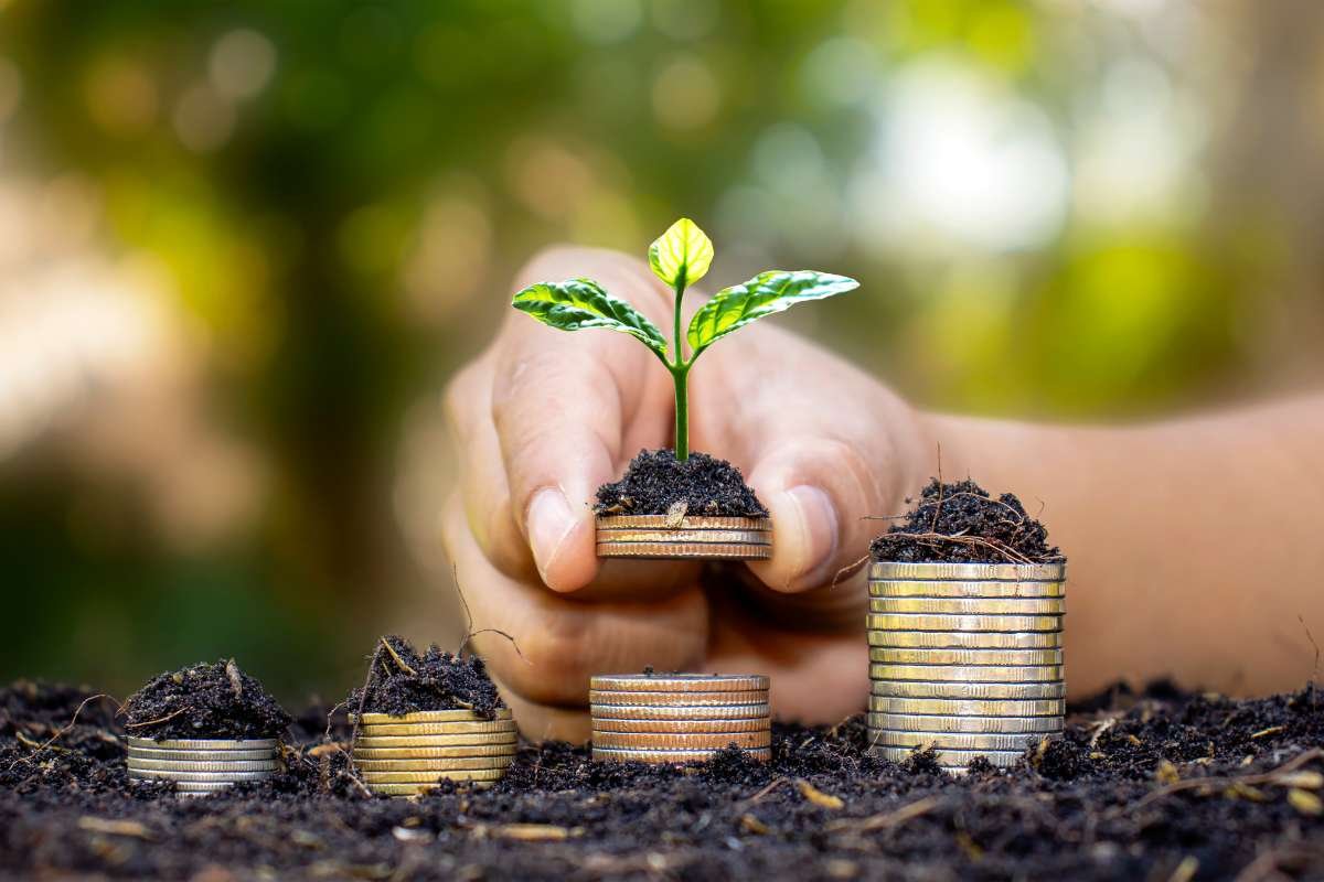 Why Environmental Consulting Matters in Business? | The Enterprise World