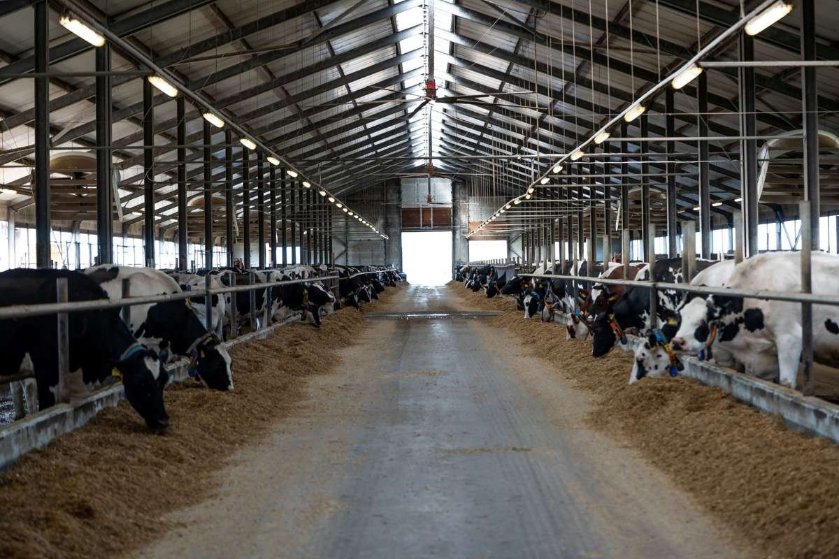 Metal Barn Buildings for Enterprises: Smart, Practical Pick | The Enterprise World