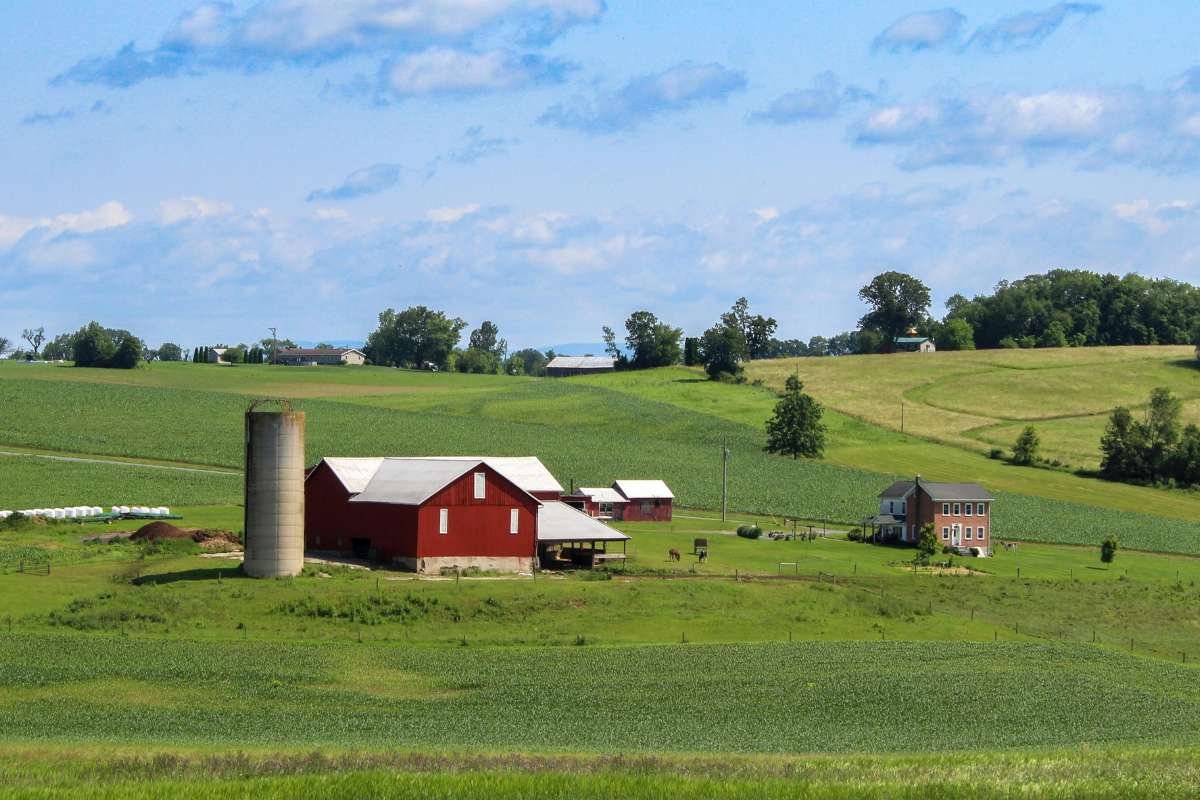 Metal Barn Buildings for Enterprises: Smart, Practical Pick | The Enterprise World