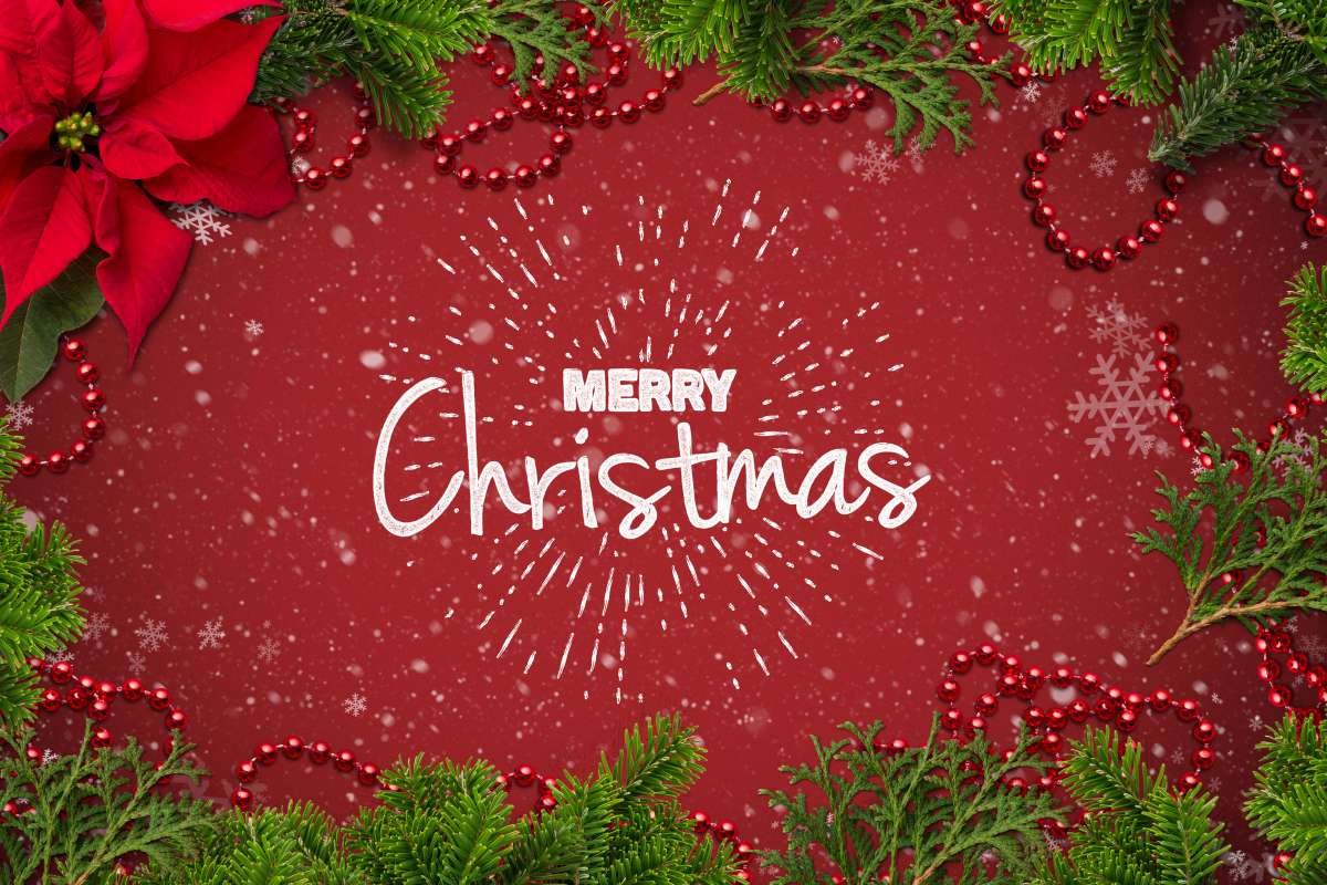 124 Merry Christmas Wishes to Warm Every Heart This Season | The Enterprise World