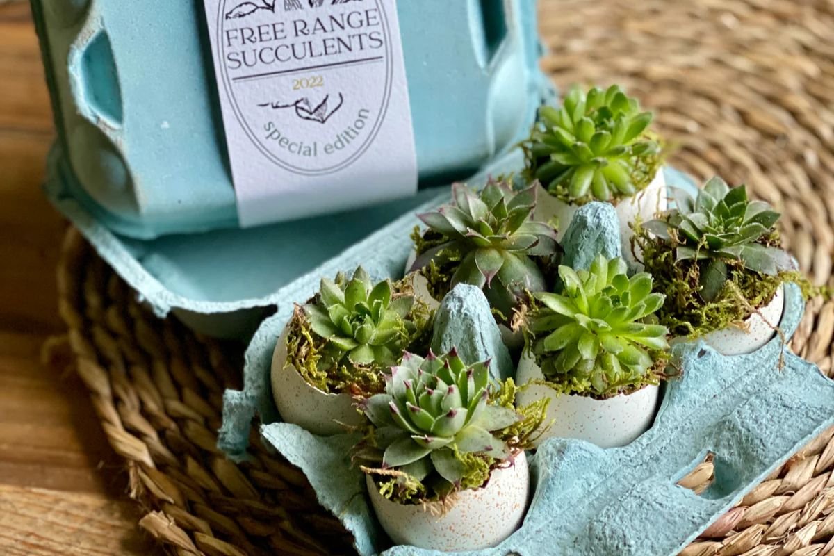 50 DIY Christmas Gift Ideas That Wow Your Loved Ones | The Enterprise World