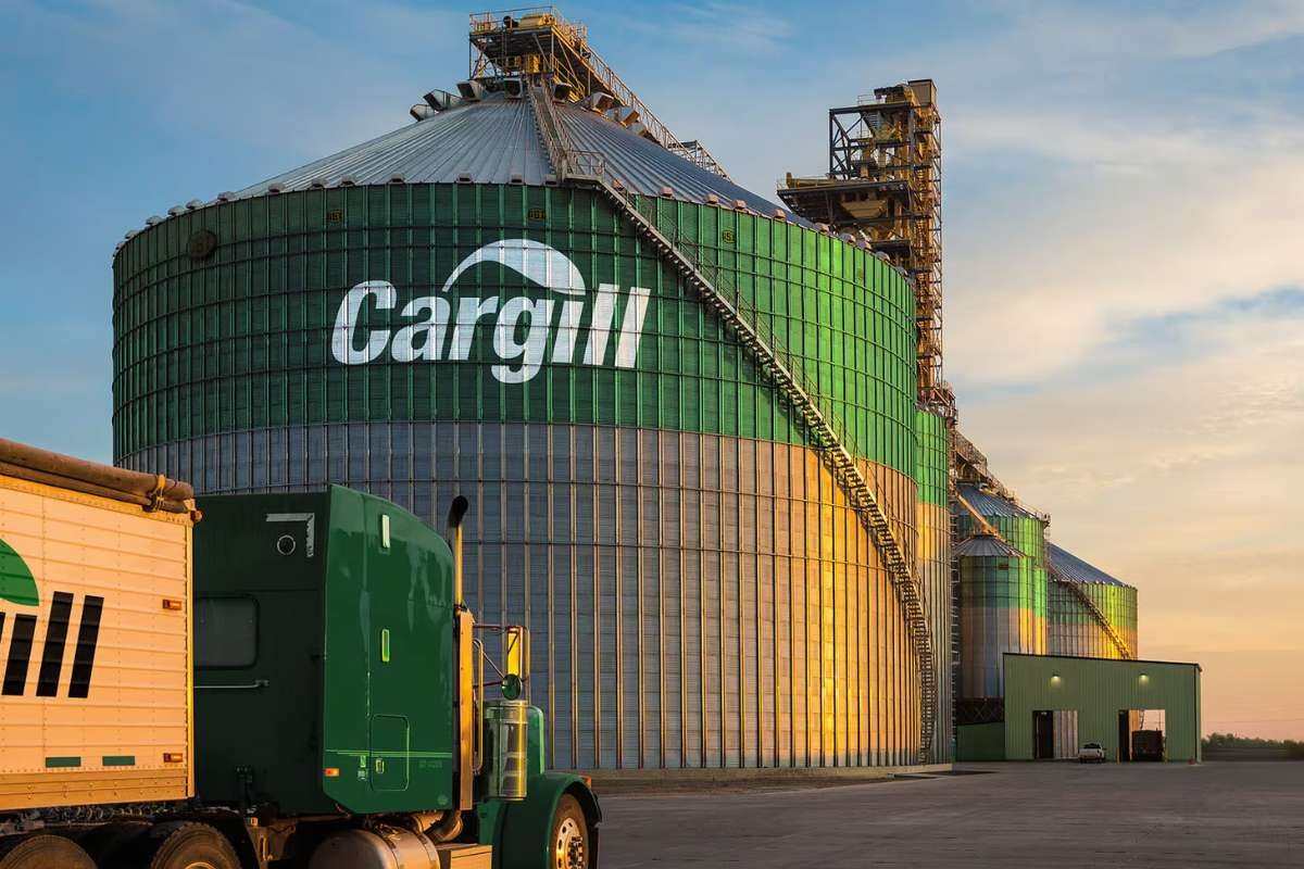 Largest Companies in the United States 2026: Revenue & Market Cap | The Enterprise World