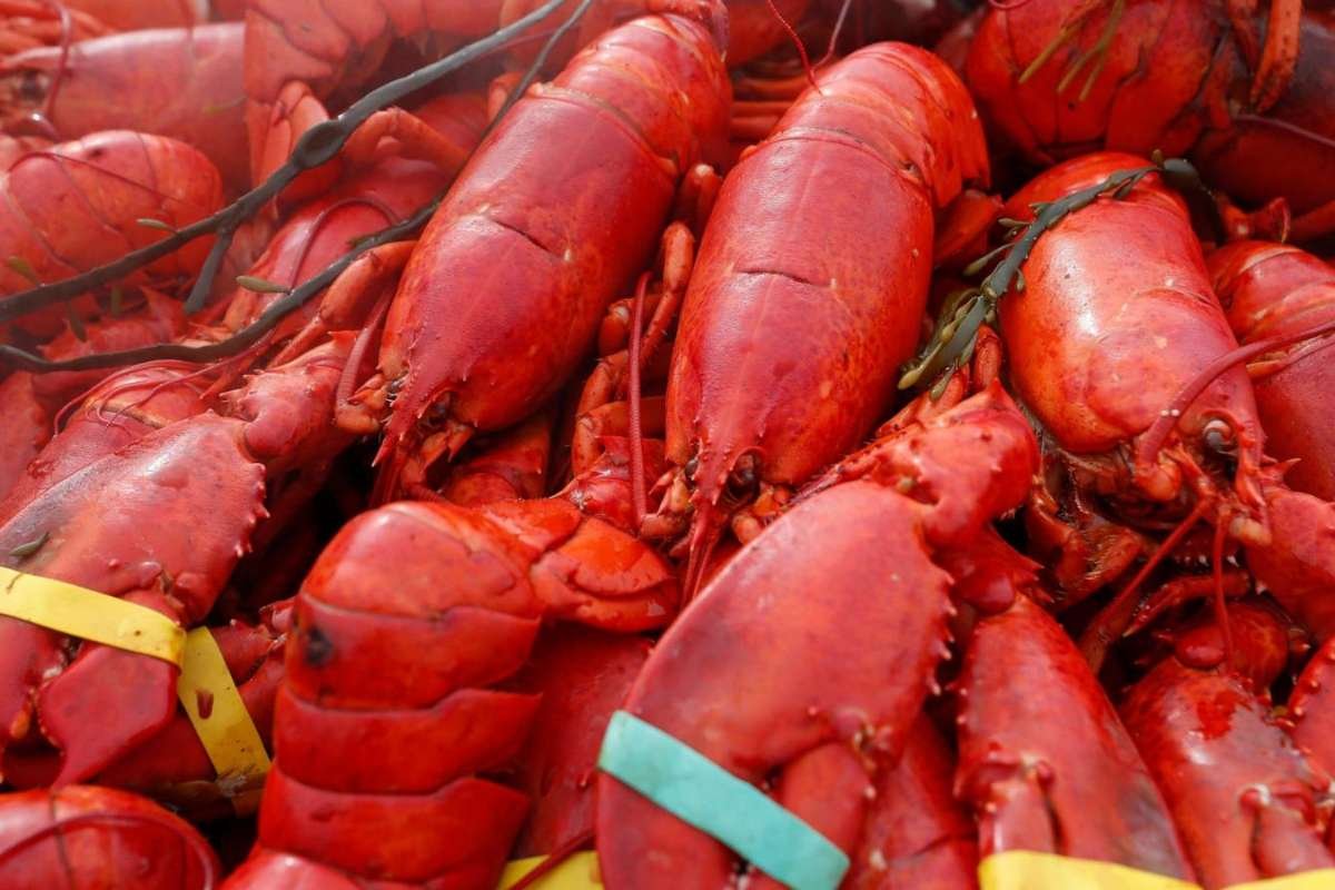 New England Seafood Theft Wave Exposes Growing Cargo Crime Threat