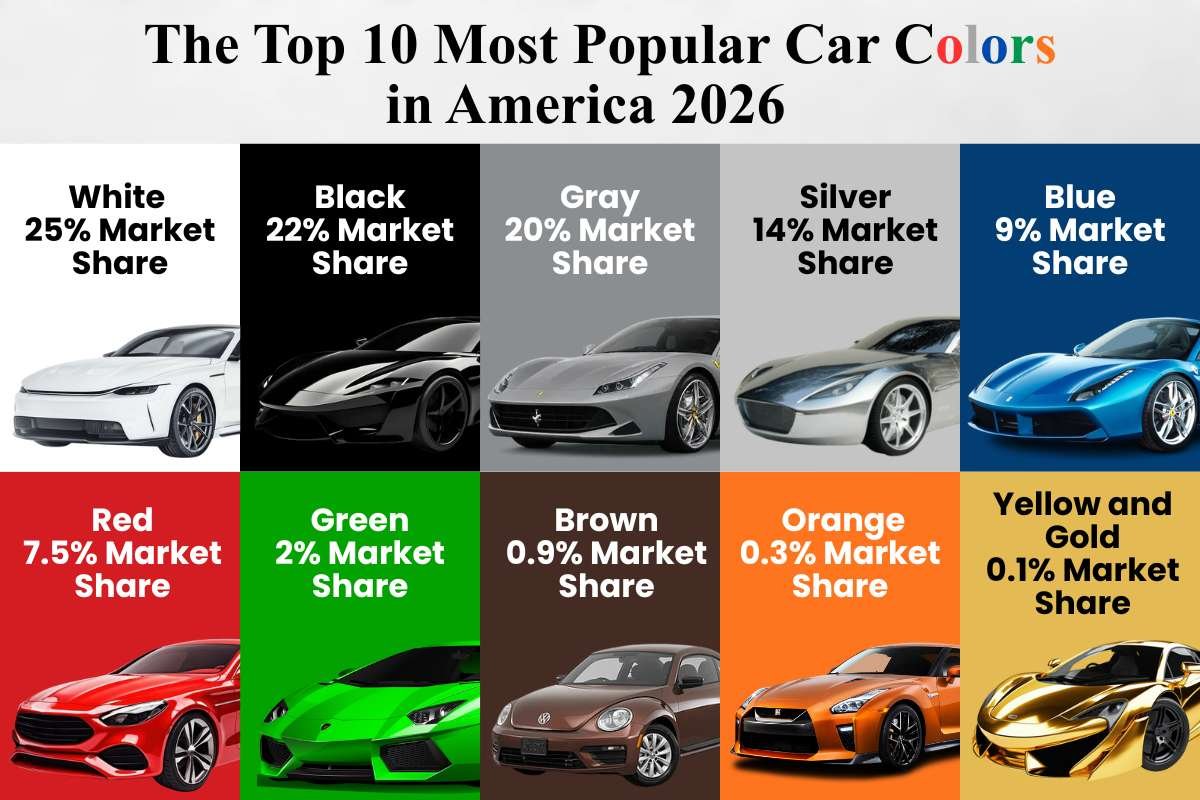 Most Popular Car Colors in America: Trends and Shifting Reasons | The Enterprise World