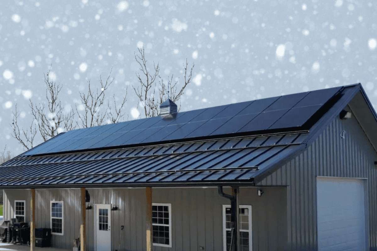 Honest Review of Wolf River Electric 2026 | The Enterprise World