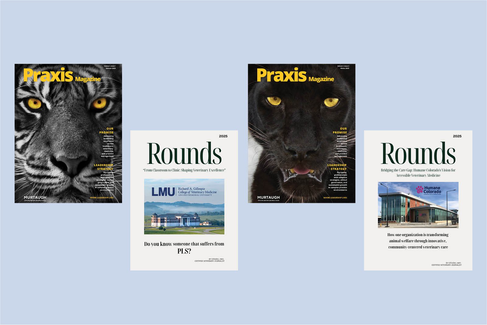 SLM: Steven May - Redefining Healthcare Leadership Where Human | The Enterprise World