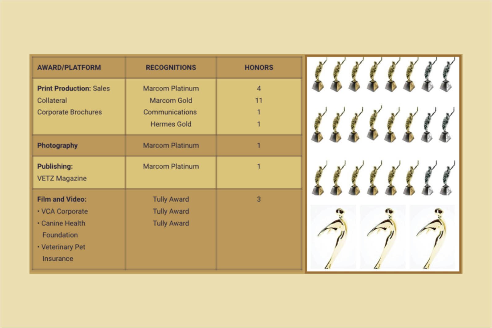 SLM: Steven May - Redefining Healthcare Leadership Where Human | The Enterprise World