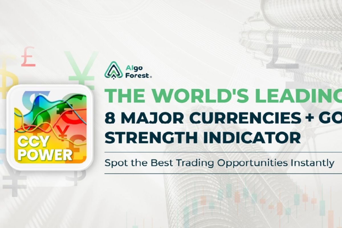 CCY Power Indicator showing real-time currency and gold strength | The Enterprise World