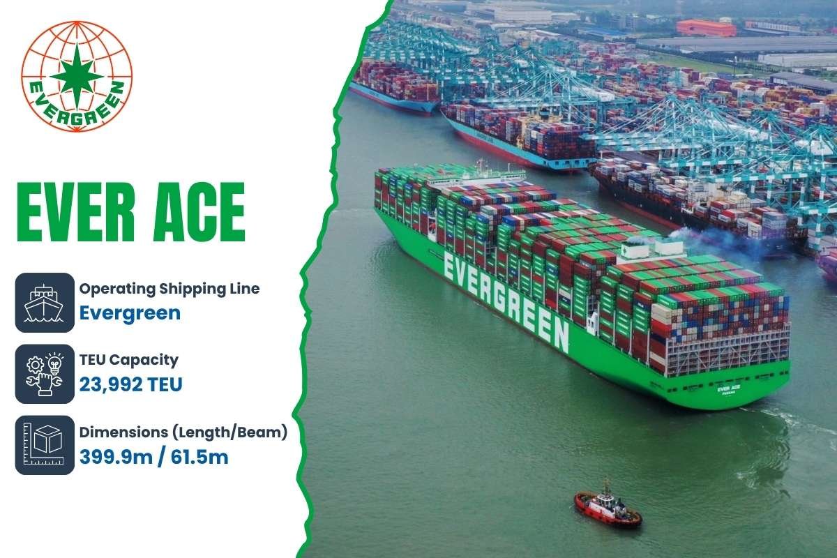 Top 10 Largest Container Ships in the World Ranked by Size | The Enterprise World