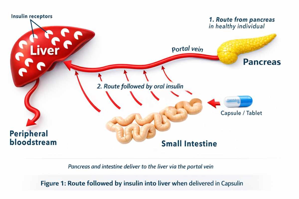 Glen Travers- Seasoned Director | Business Leader | Diabetology Limited | The Enterprise World