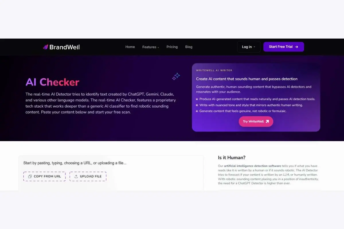 Top 6 AI Detector Tools Ranked And Reviewed | The Enterprise World