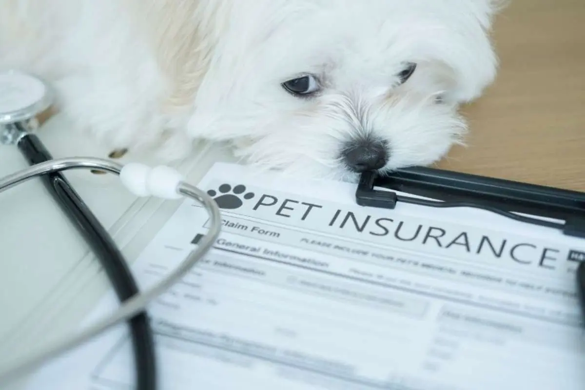 Knowing when to act | The Enterprise World