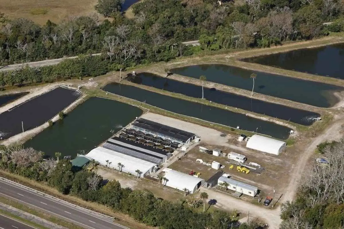 Michael F. McMaster | Pompano Farms LLC | Mariculture Technologies International Inc. | The Enterprise World