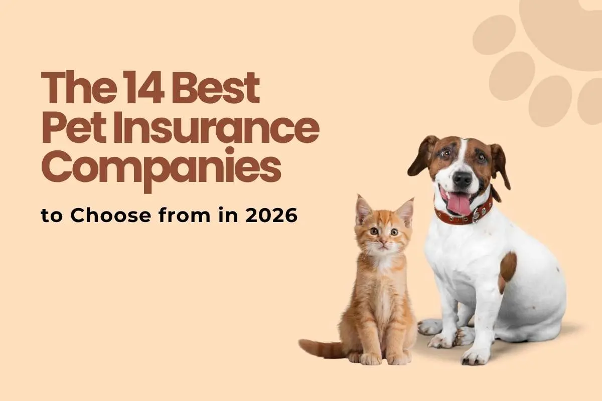 The 14 Best Pet Insurance Companies to Choose from in 2026