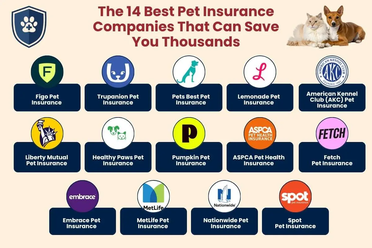 The 14 Best Pet Insurance Companies to Choose from in 2026 | The Enterprise World