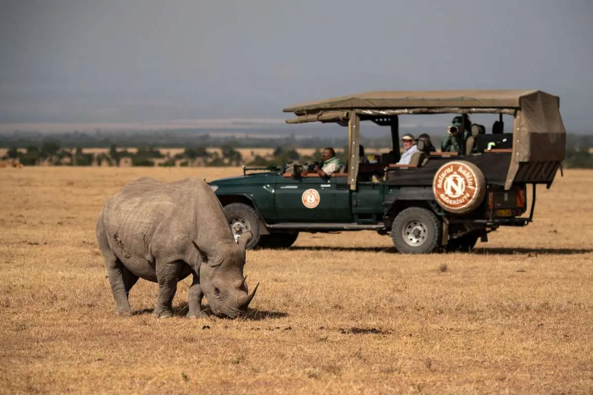 Wildlife Encounters Will Define Your Journey | The Enterprise World