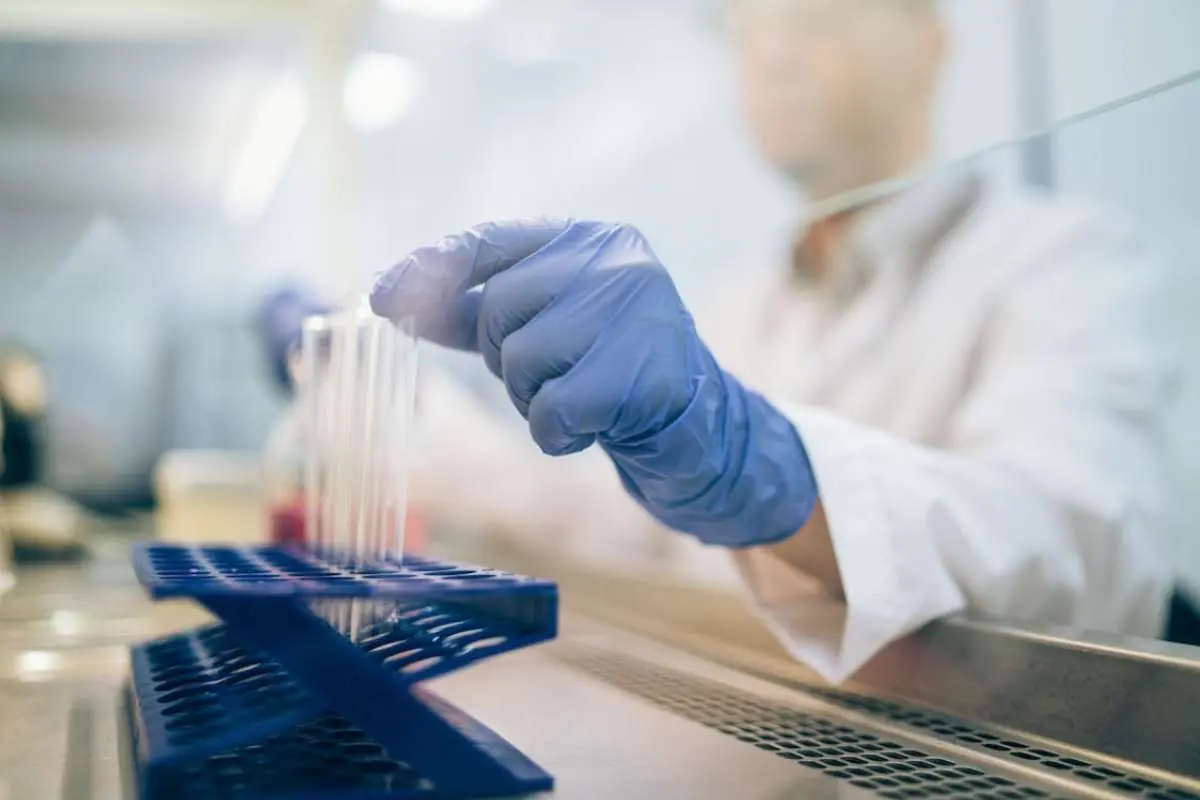 How a Biosafety Cabinet for Biotech Startups Protects Clean Air Assets? | The Enterprise World