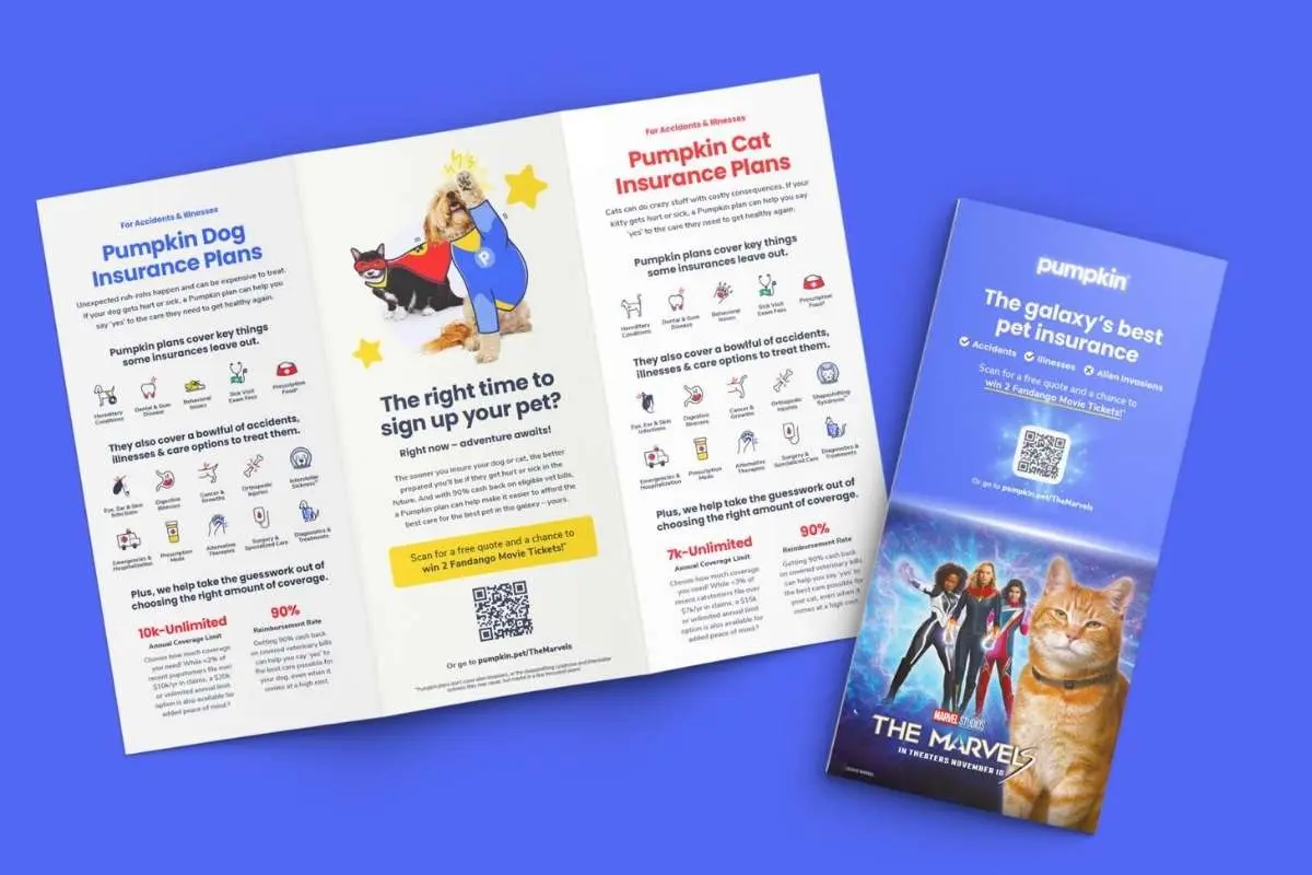 The 14 Best Pet Insurance Companies to Choose from in 2026 | The Enterprise World