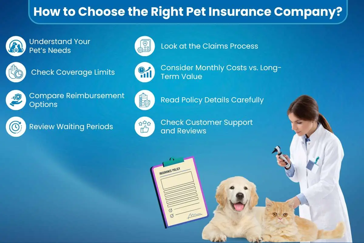 The 14 Best Pet Insurance Companies to Choose from in 2026 | The Enterprise World
