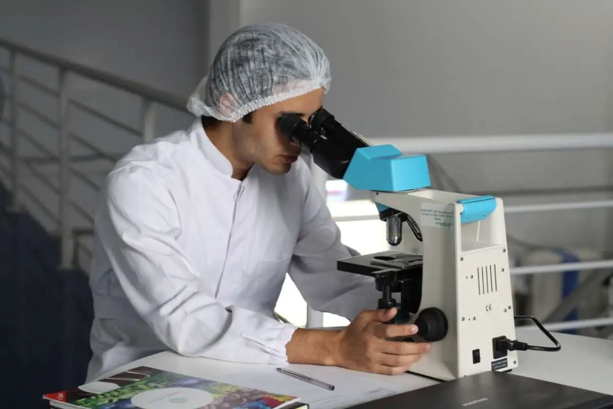 From Lab to Production Scale: How to Bridge Research and Industrial Manufacturing | The Enterprise World
