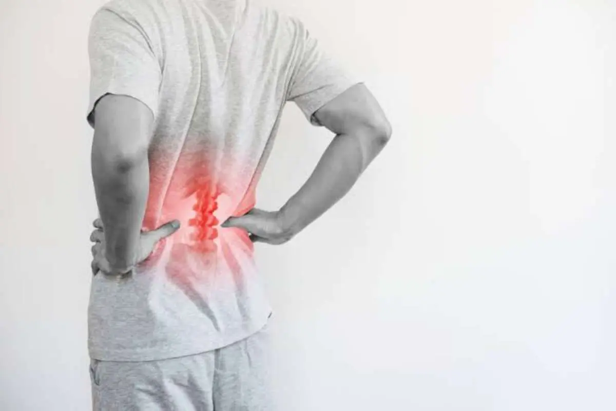 How to Relieve Back Pain With Simple Daily Habits? | The Enterprise World