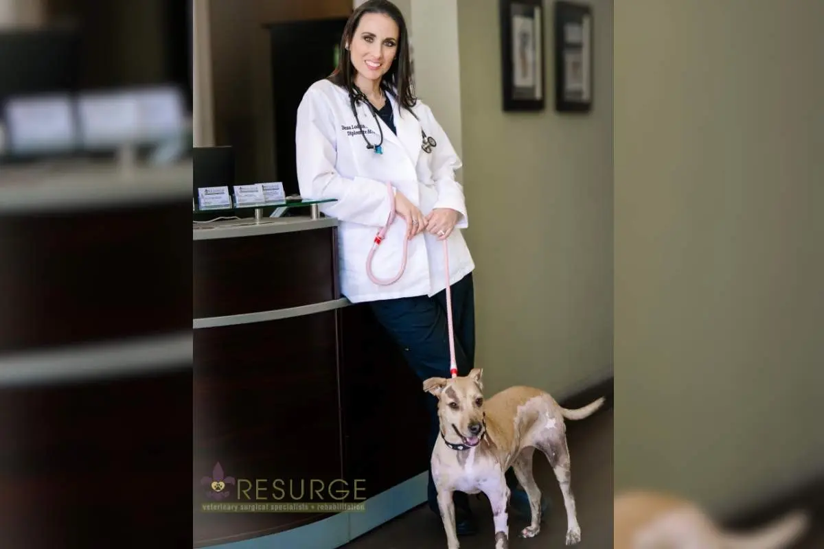 Dr. Dena Lodato- Restoring Mobility and Comfort for Every Pet | Resurge | The Enterprise World