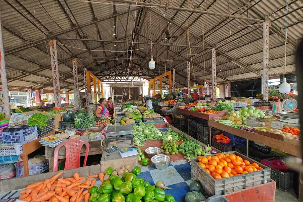 Vipin Saini- Shaping the Future of Farming | BASAI | The Enterprise World