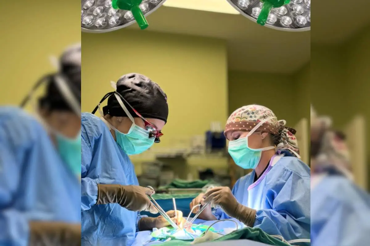 Dr. Dena Lodato- Restoring Mobility and Comfort for Every Pet | Resurge | The Enterprise World