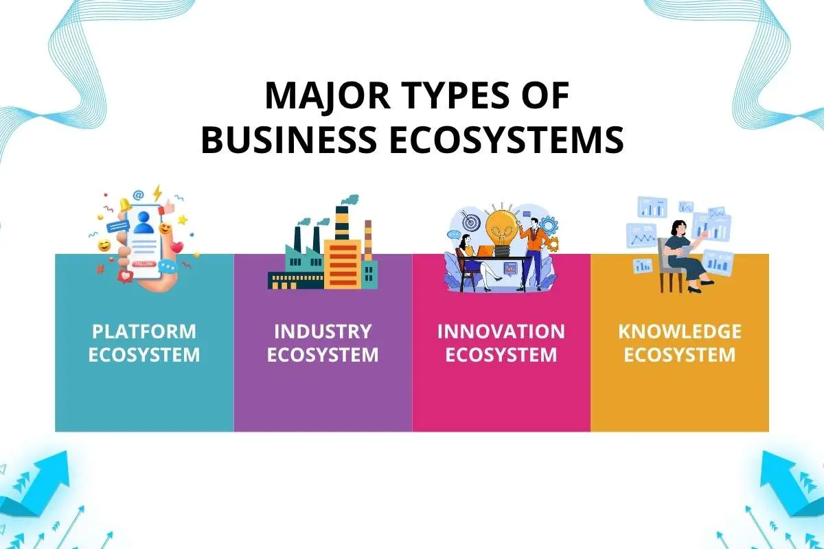 Types of Business Ecosystems That Create Long-Term Success | The Enterprise World