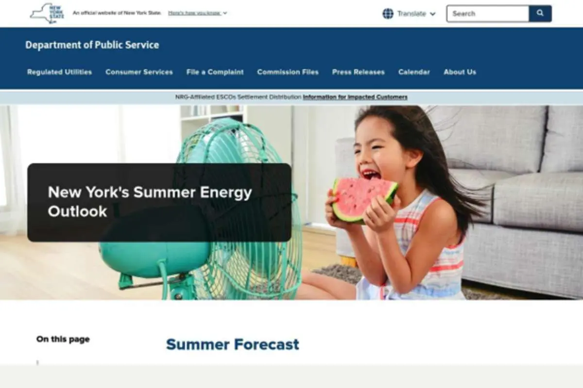 NYS Summer Energy Outlook (DPS) – Projects NY peak demand and expected bill increases for summer, including supply cost estimates for residential users | The Enterprise World