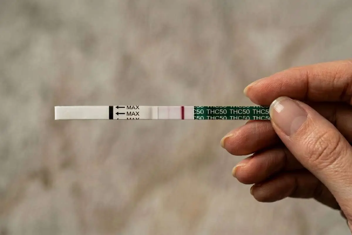 How to Correctly Use and Read Results of At-Home Urine Drug Tests?