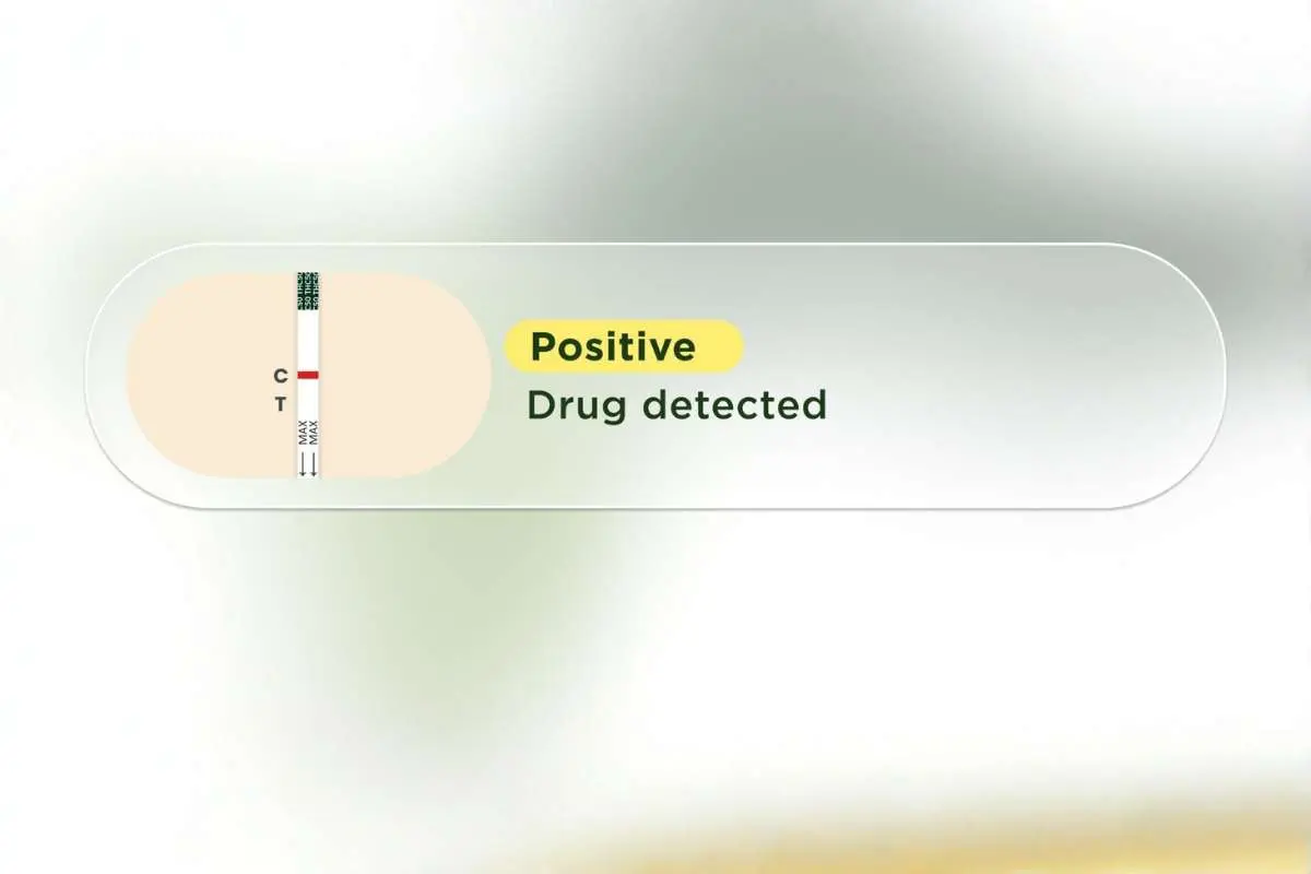 How to Use & Read At-Home Urine Drug Tests Right? | The Enterprise World