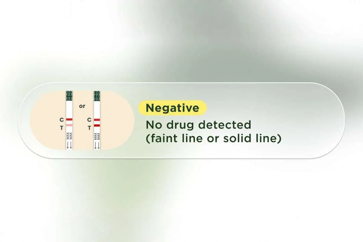 How to Use & Read At-Home Urine Drug Tests Right? | The Enterprise World