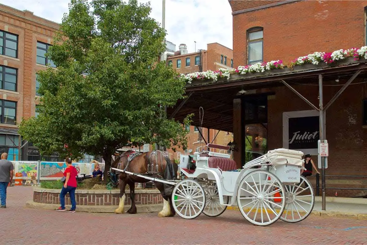 Omaha's Competitive Edge: A Midwest Metro Built for Long-Term Growth | The Enterprise World