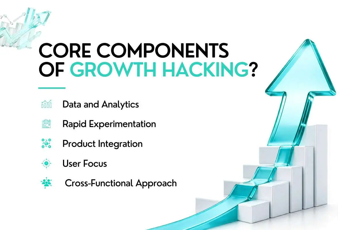 What is Growth Hacking? The Strategy Behind Rapid Growth | The Enterprise World
