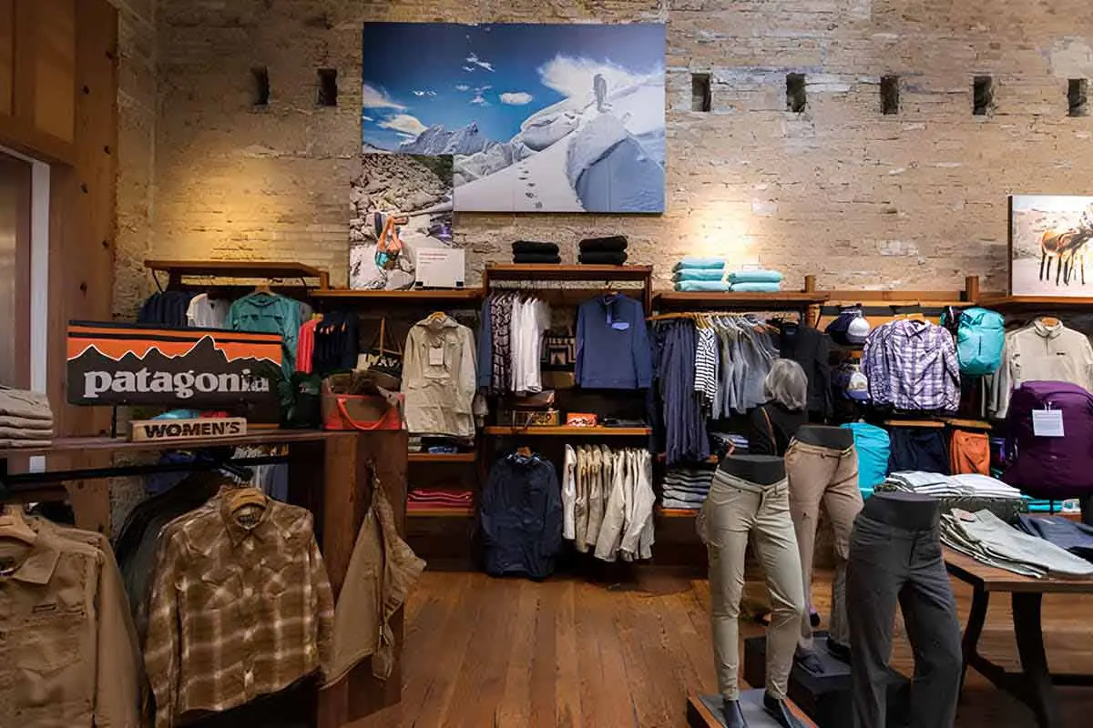 Patagonia Inc.: The Brand That Asked You to Buy Less | The Enterprise World