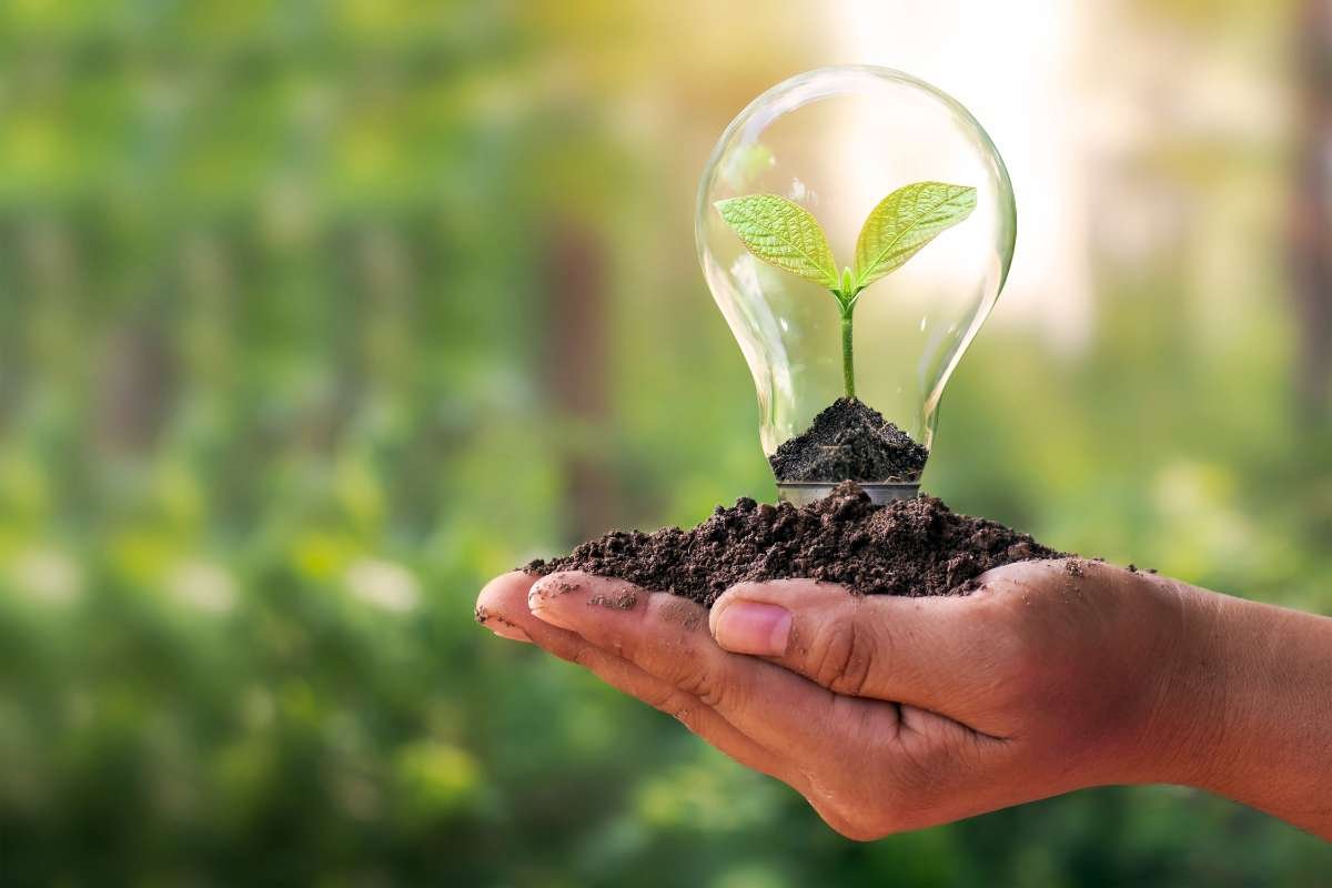 Importance of Cloud Computing for Success in 2025 | The Enterprise World