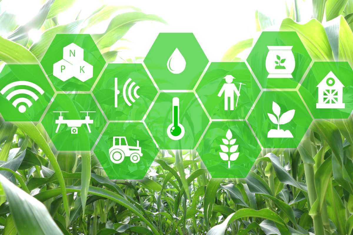 Smart Agriculture Techniques using IoT | The Enterprise World