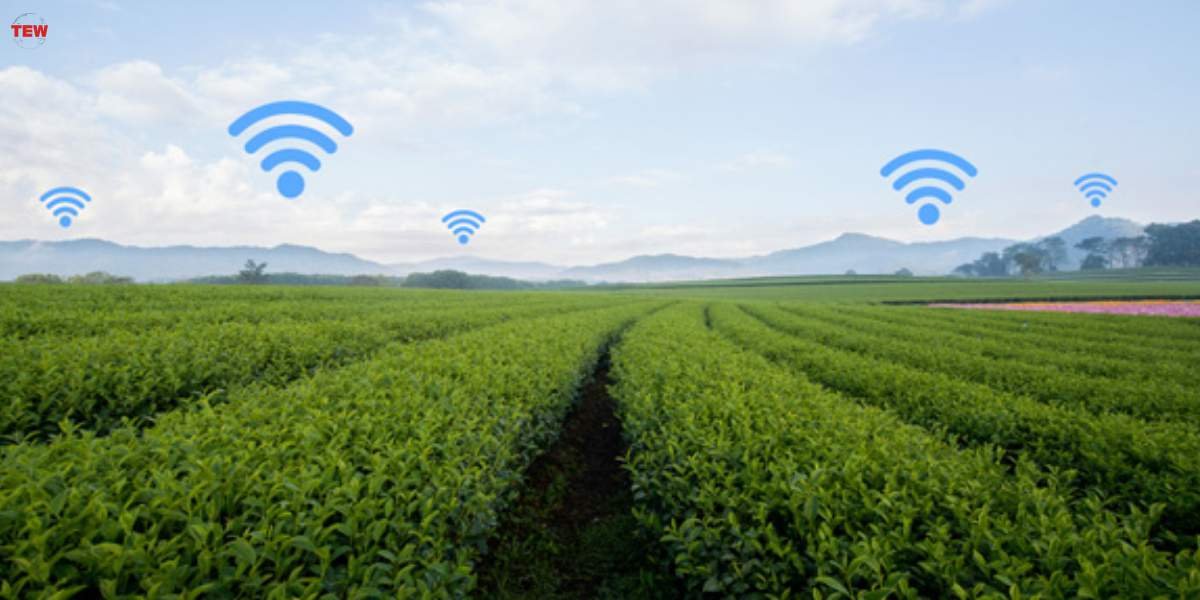 Crops Connected with Wi-Fi