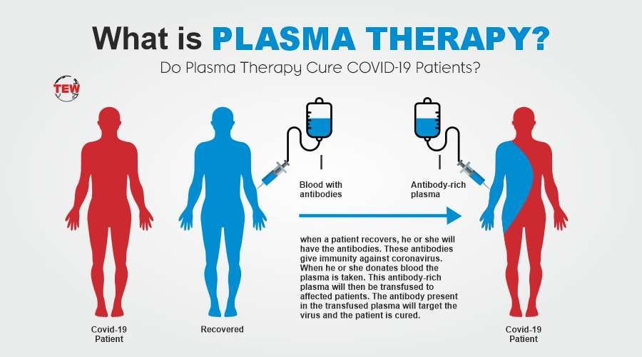 What is Plasma? Do Plasma Therapy Cure COVID-19 Patients?