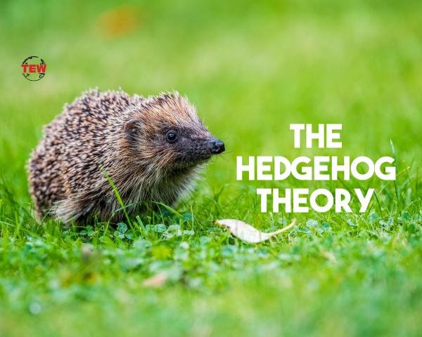 The Hedgehog Theory